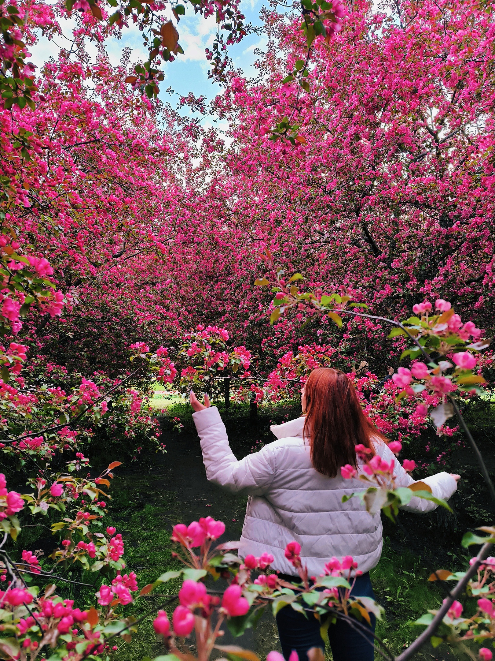 Аватар пользователя