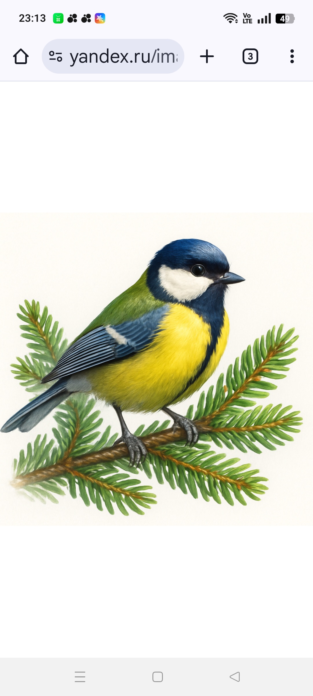 Аватар пользователя