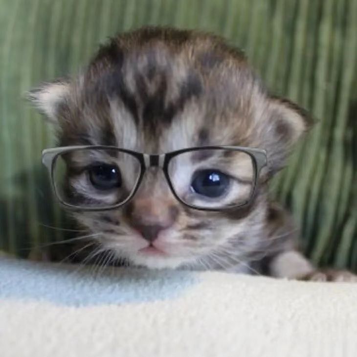 Аватар пользователя