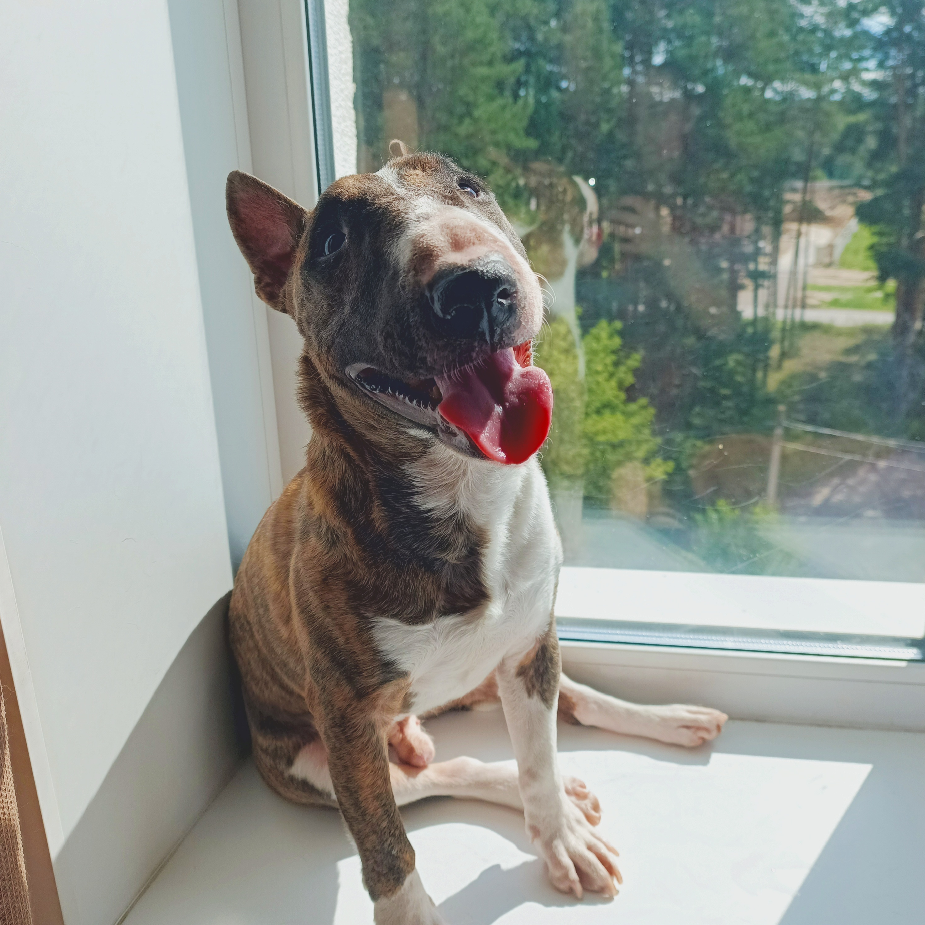 Аватар пользователя