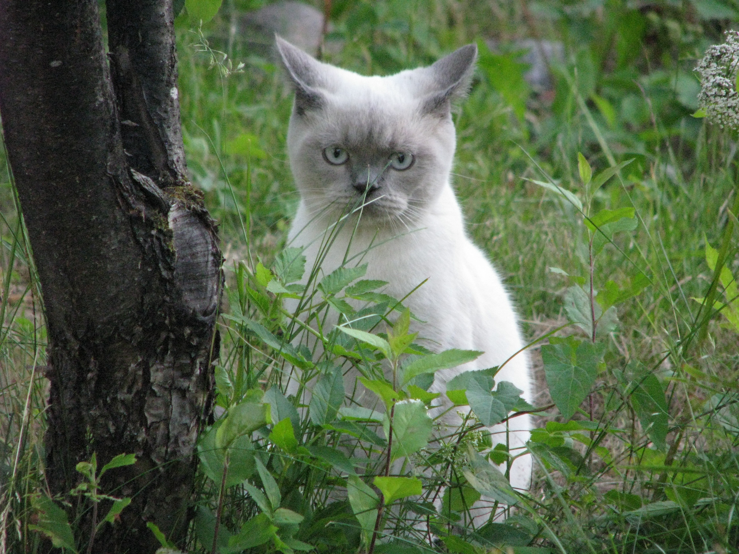 Аватар пользователя