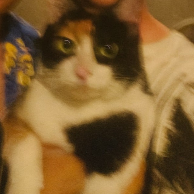 Аватар пользователя