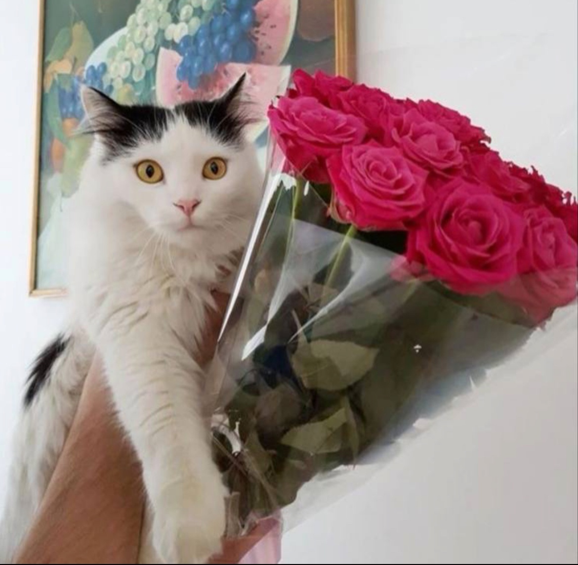 Аватар пользователя