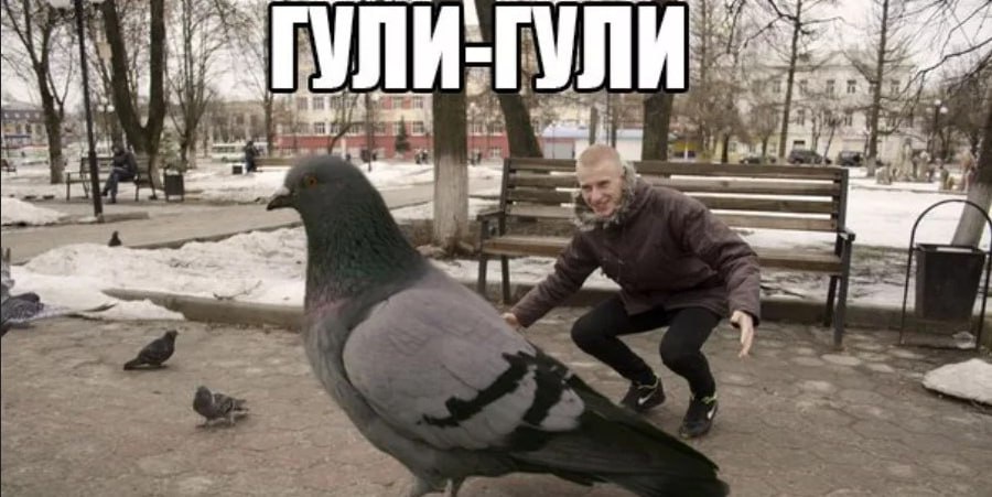 Аватар пользователя