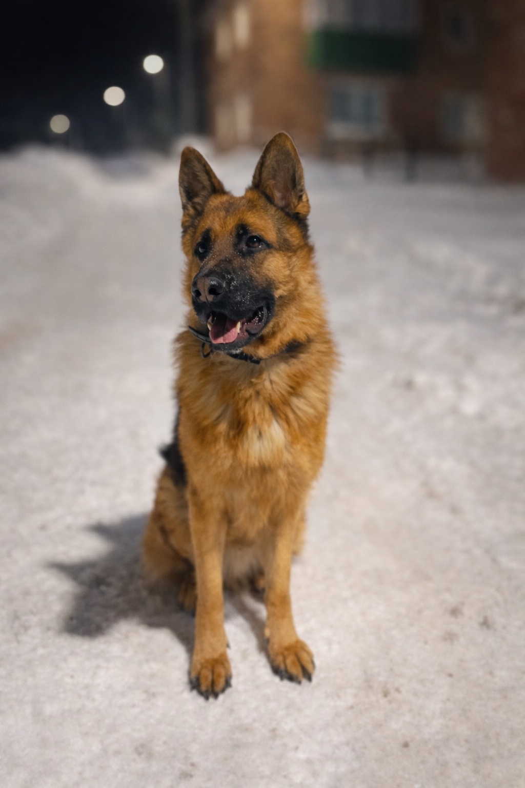 Аватар пользователя