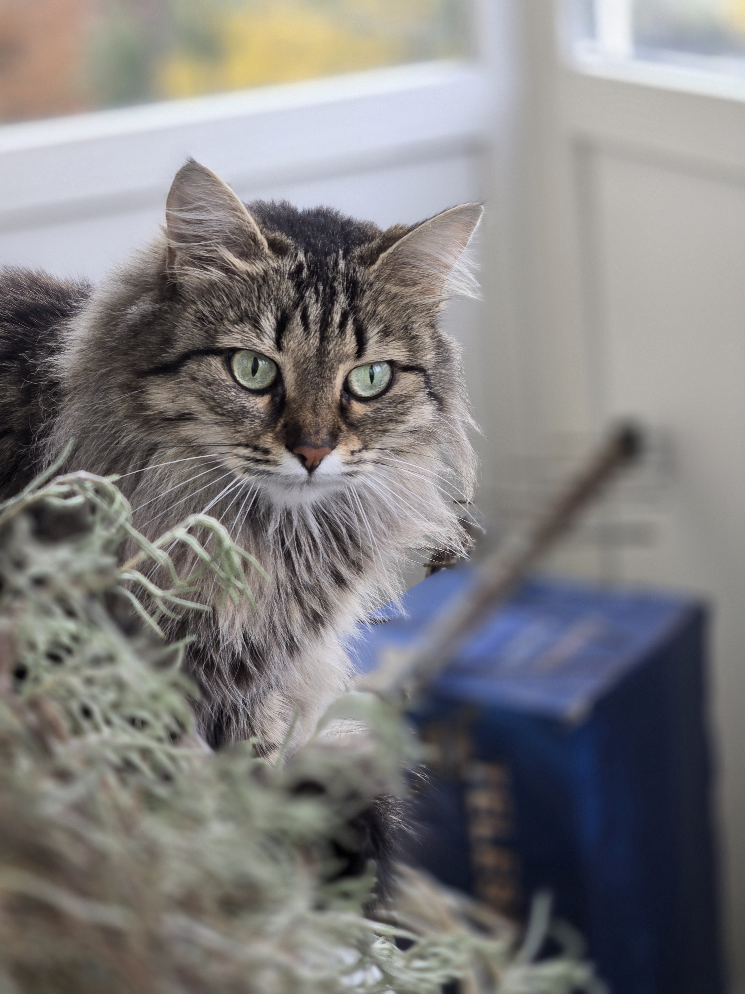 Аватар пользователя