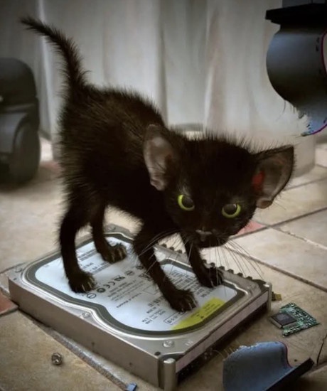 Аватар пользователя