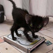 Аватар пользователя