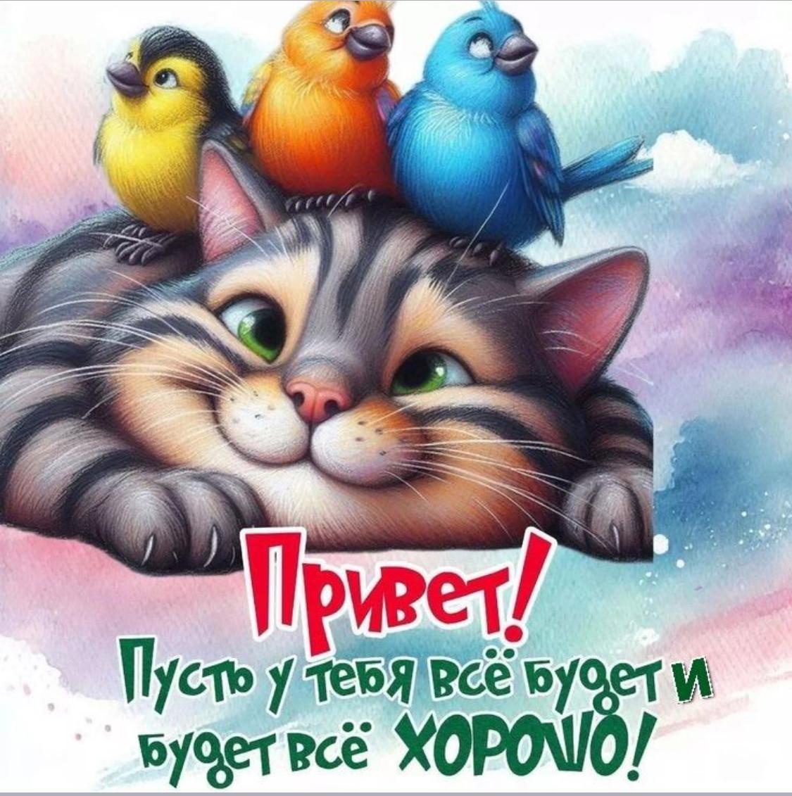 Аватар пользователя