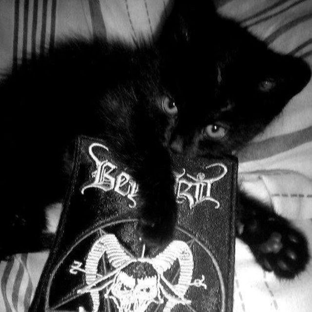 Аватар пользователя