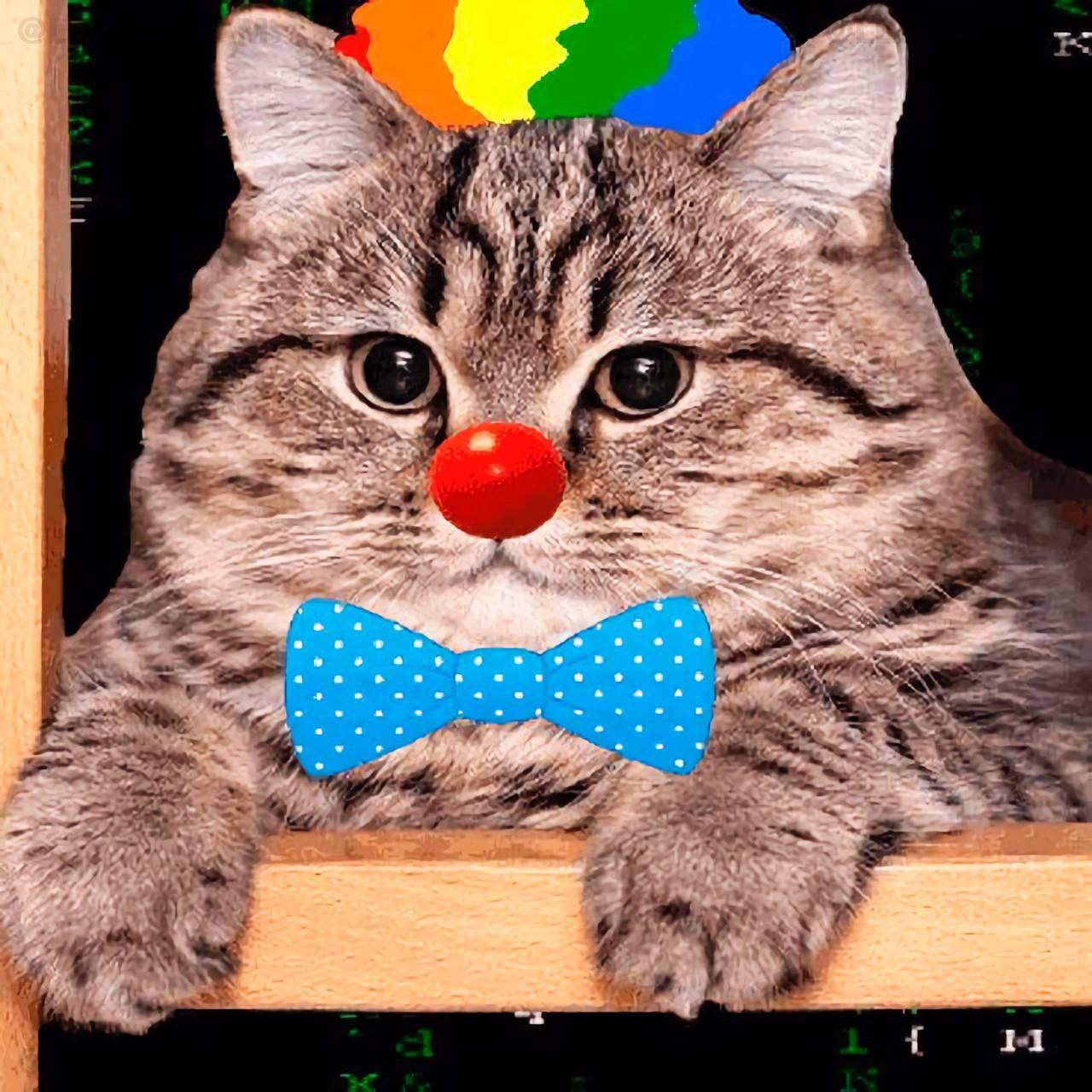 Аватар пользователя