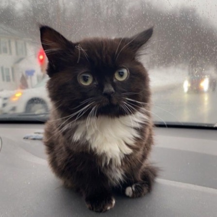 Аватар пользователя