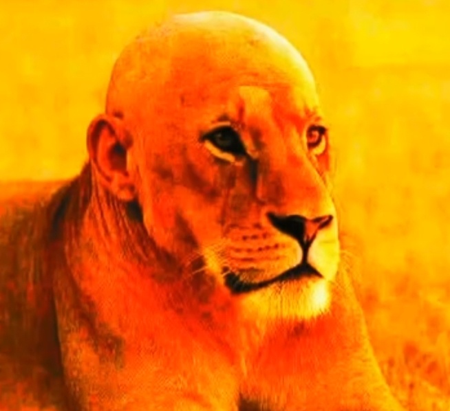 Аватар пользователя