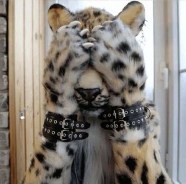 Аватар пользователя