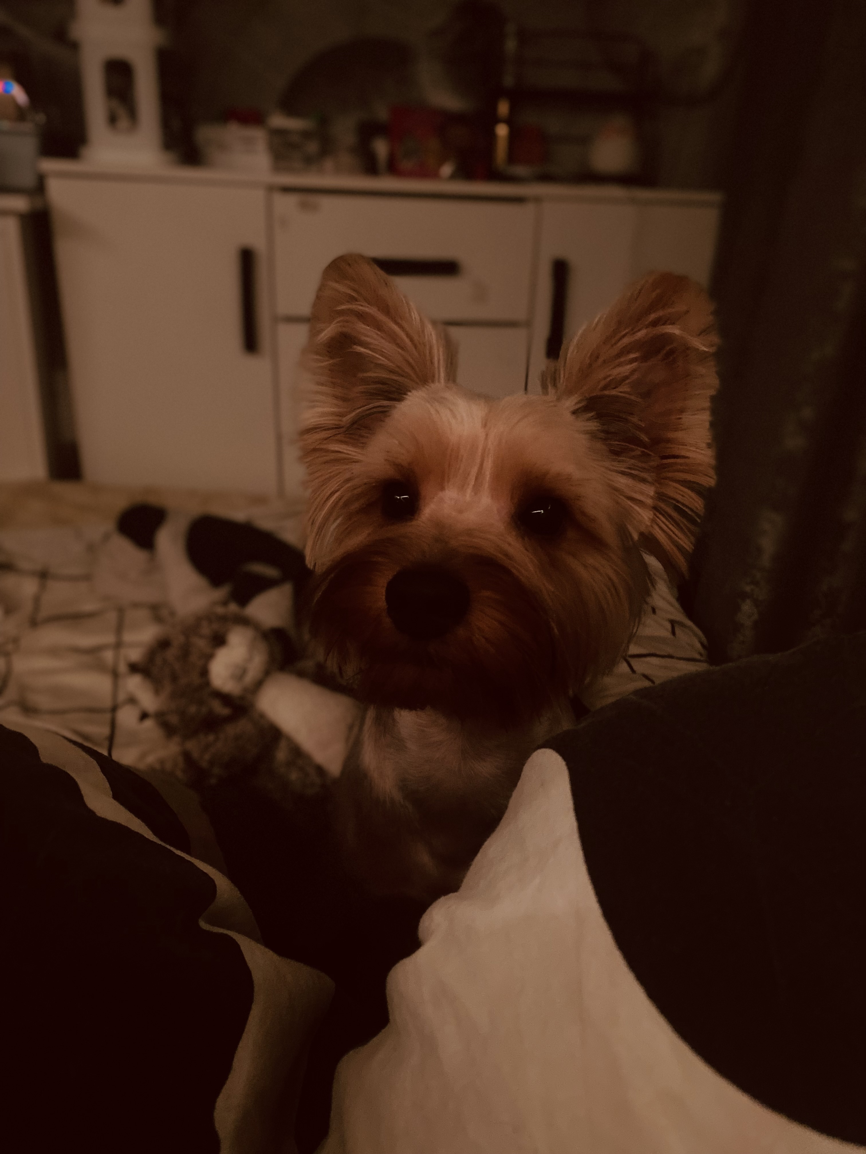 Аватар пользователя