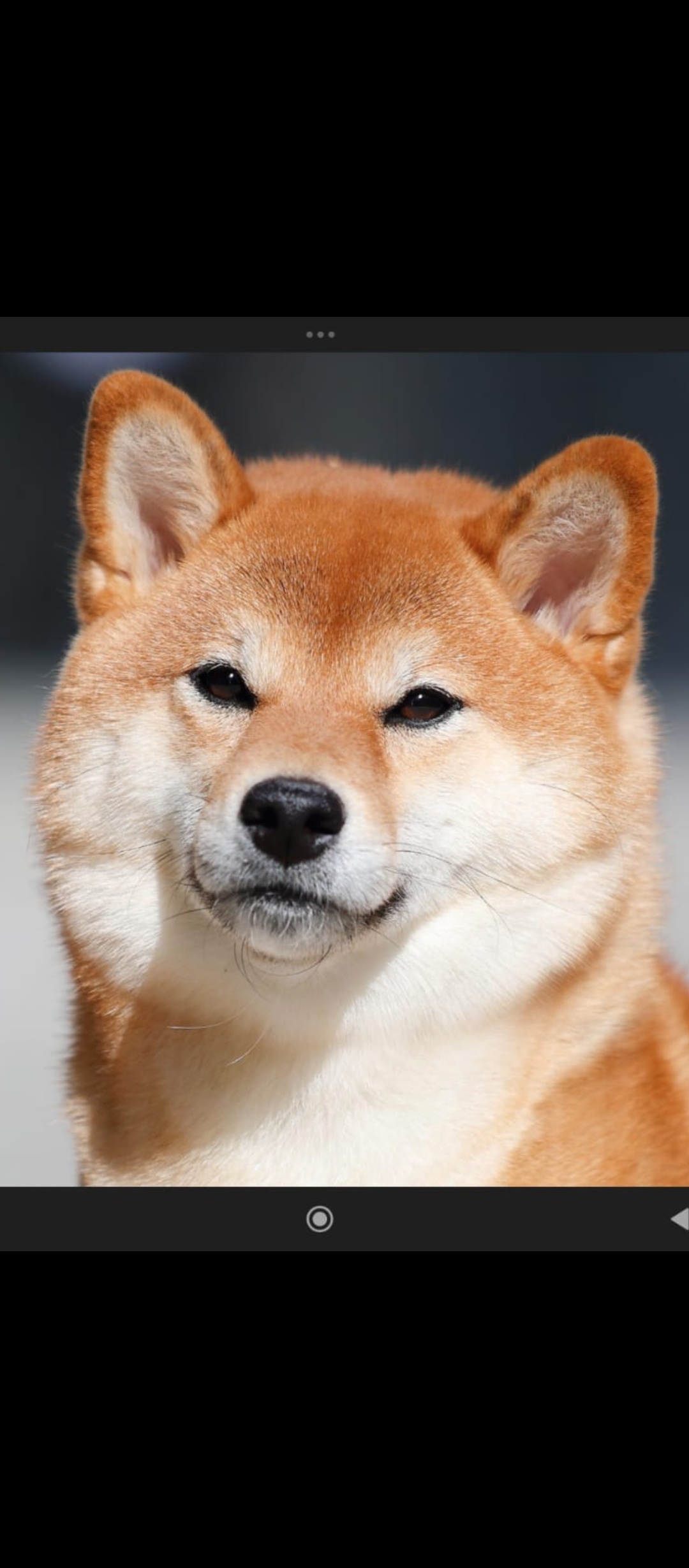 Аватар пользователя