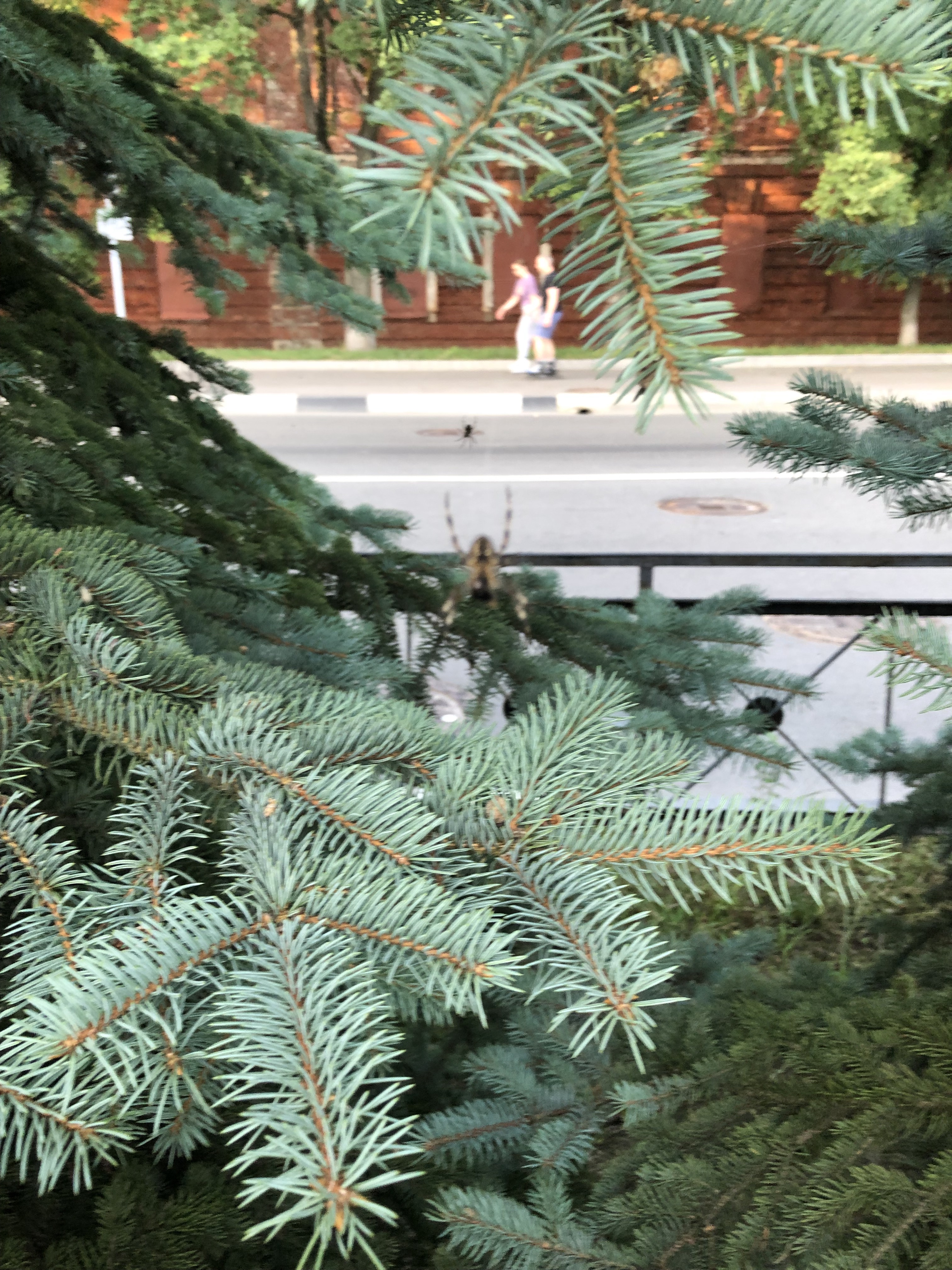 Аватар пользователя