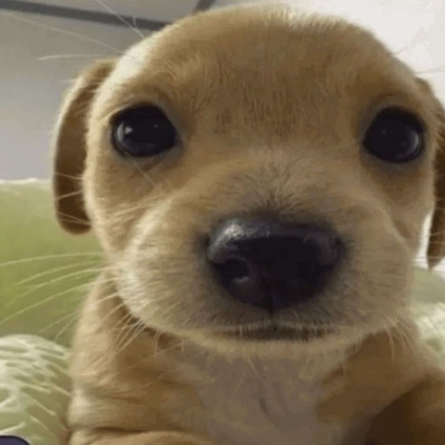 Аватар пользователя