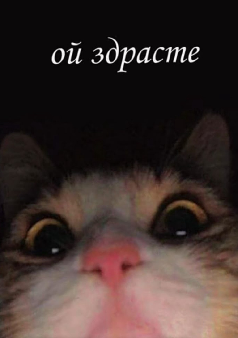 Аватар пользователя