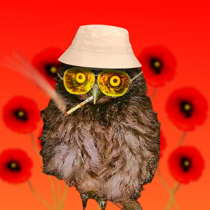 Аватар пользователя