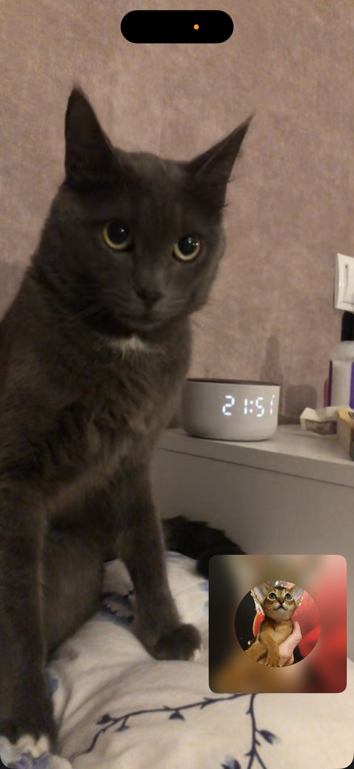 Аватар пользователя