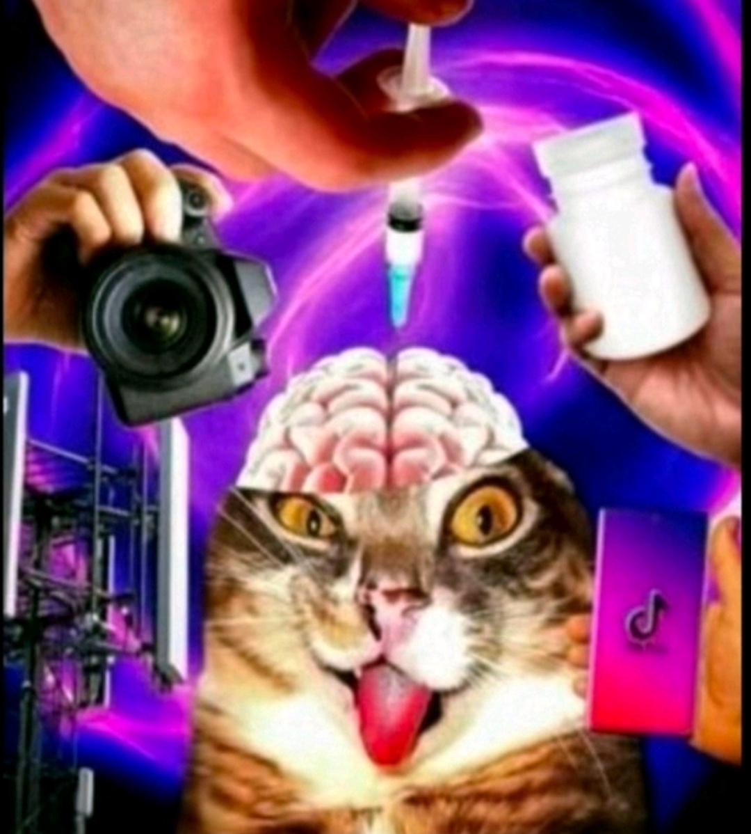 Аватар пользователя