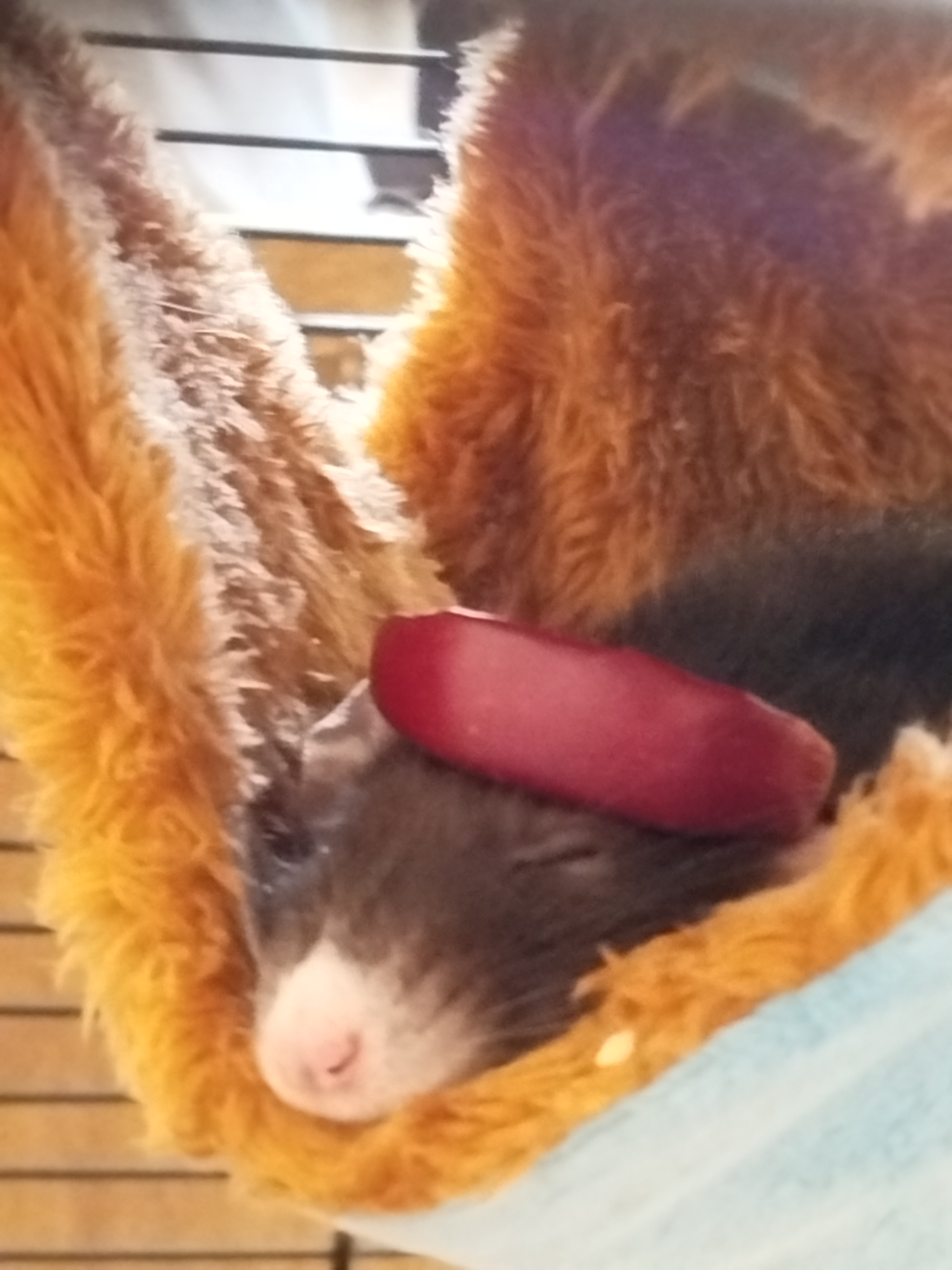 Аватар пользователя