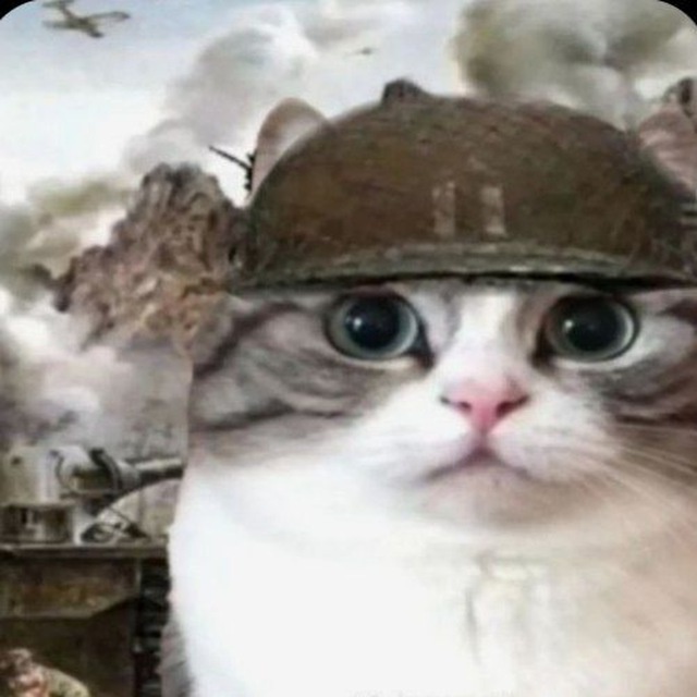 Аватар пользователя