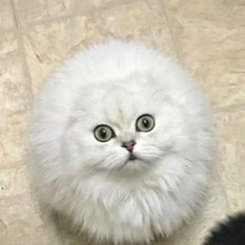 Аватар пользователя