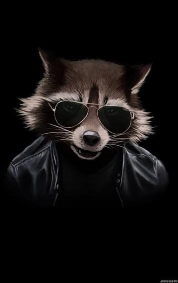 Аватар пользователя