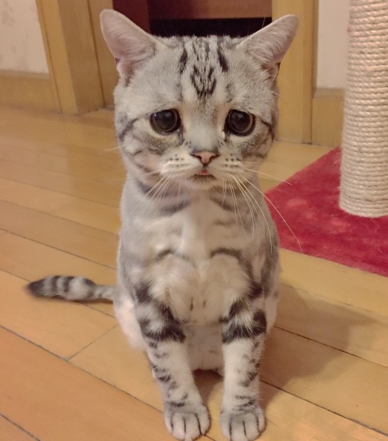 Аватар пользователя