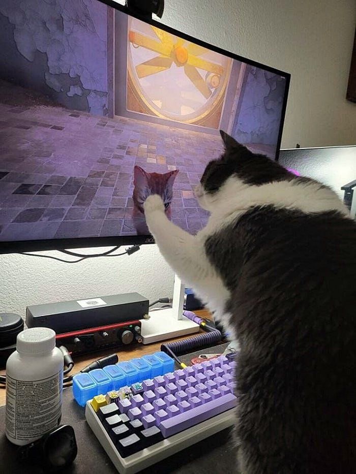 Аватар пользователя