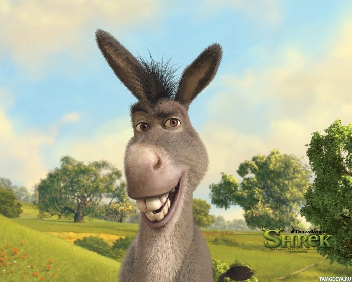 Аватар пользователя