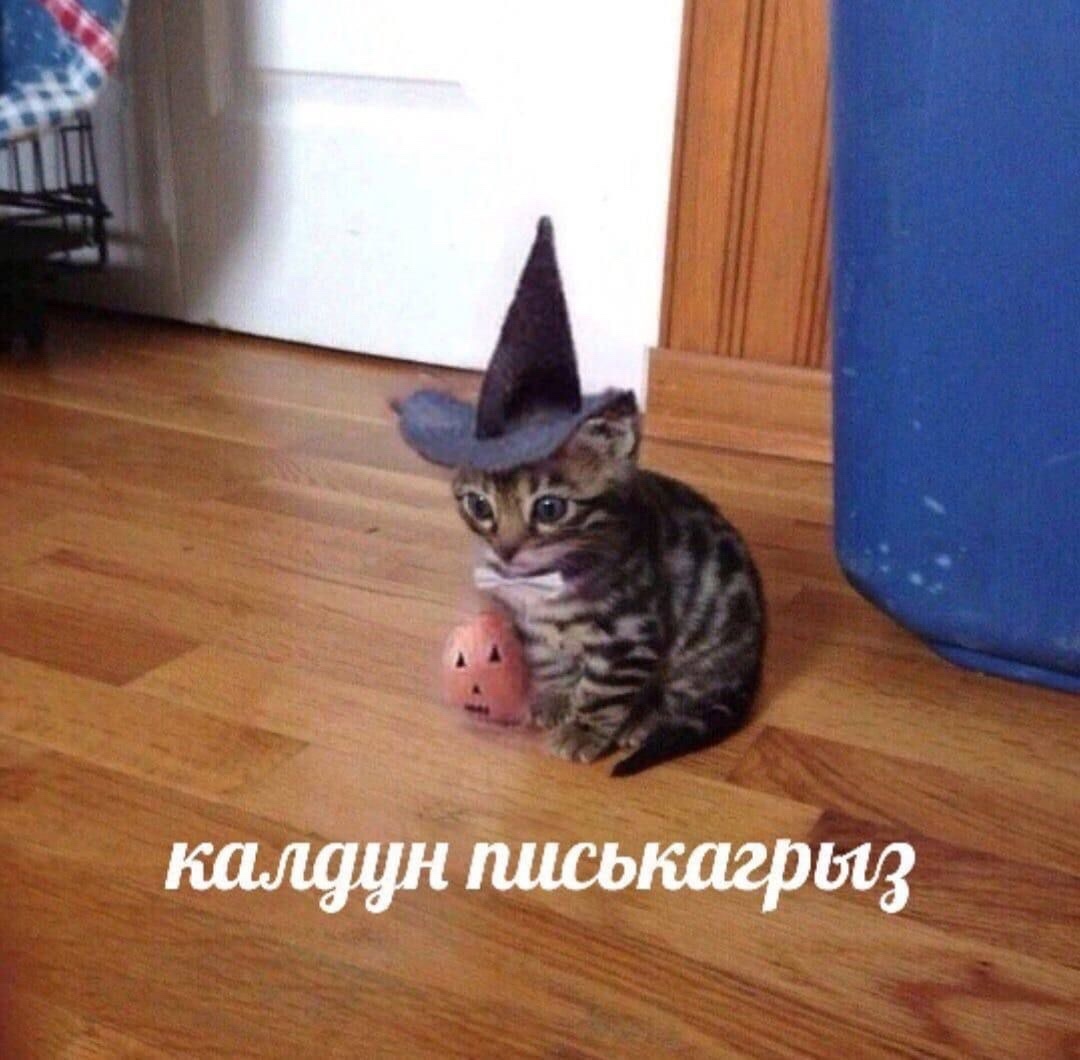 Аватар пользователя