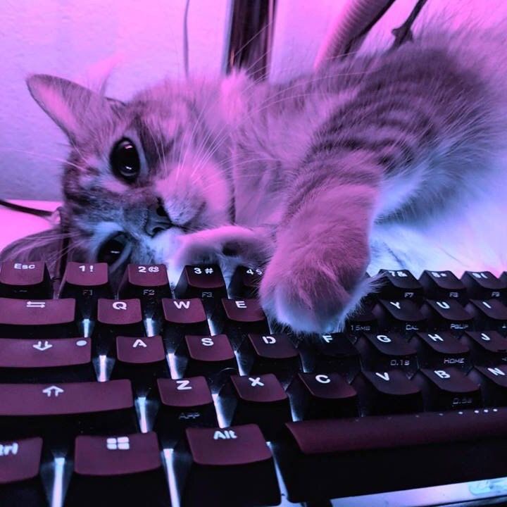 Аватар пользователя