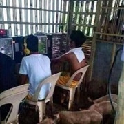 Аватар пользователя