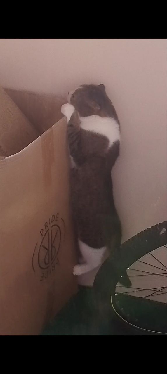 Аватар пользователя