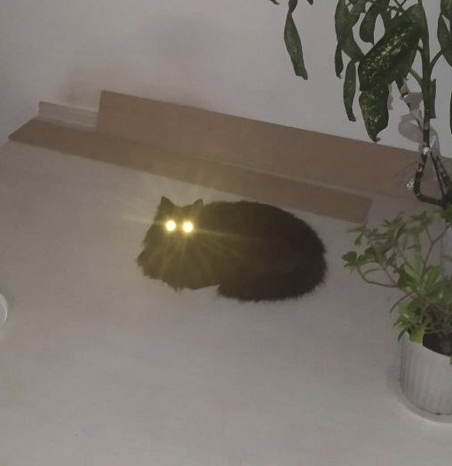 Аватар пользователя