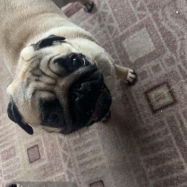 Аватар пользователя