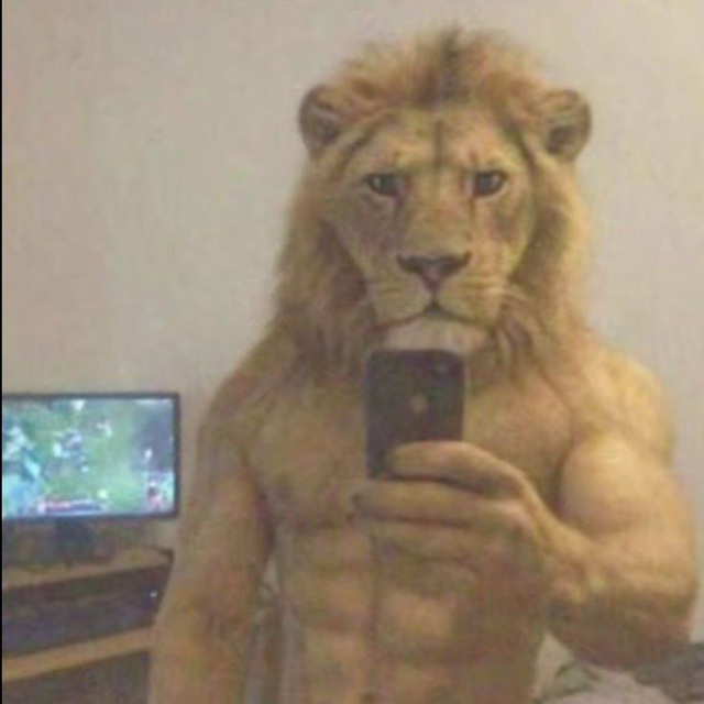 Аватар пользователя