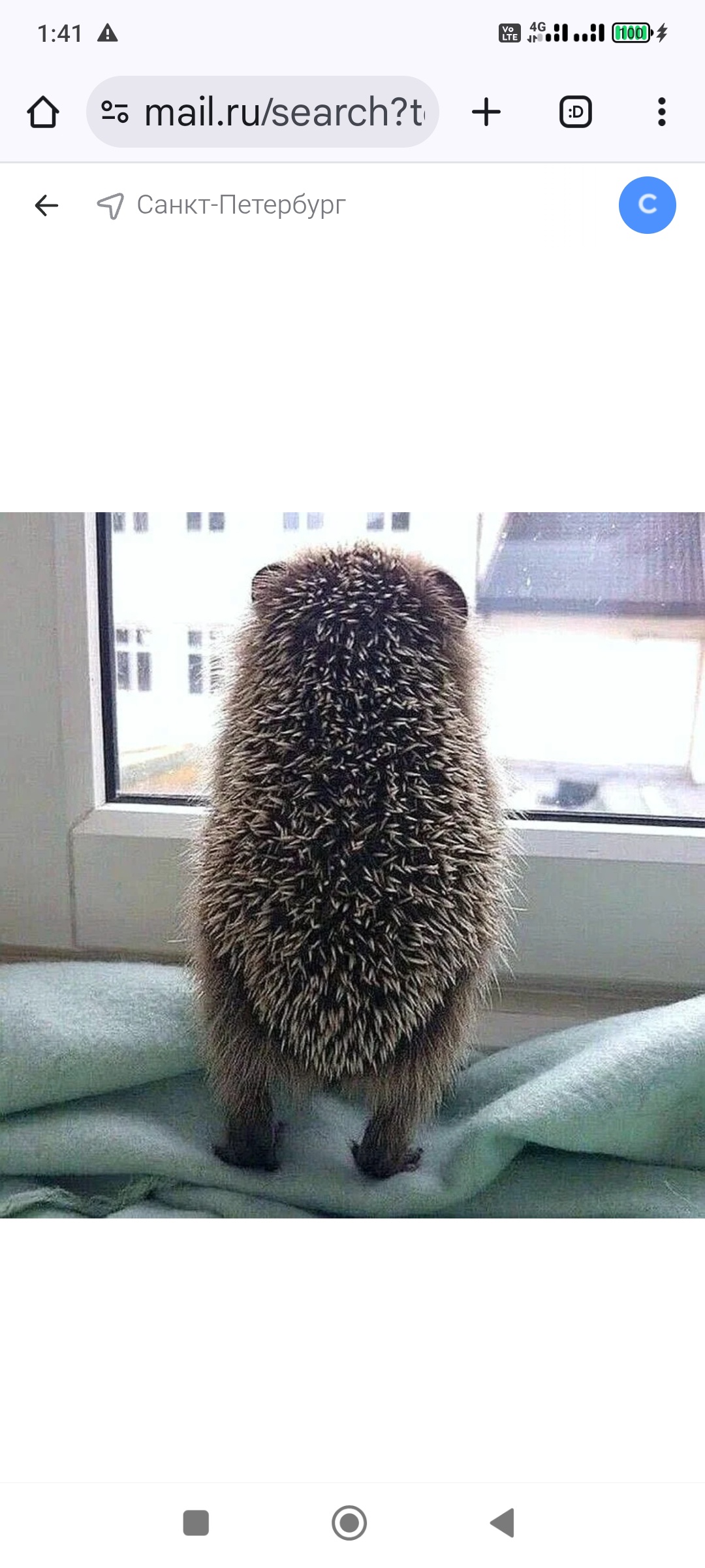 Аватар пользователя