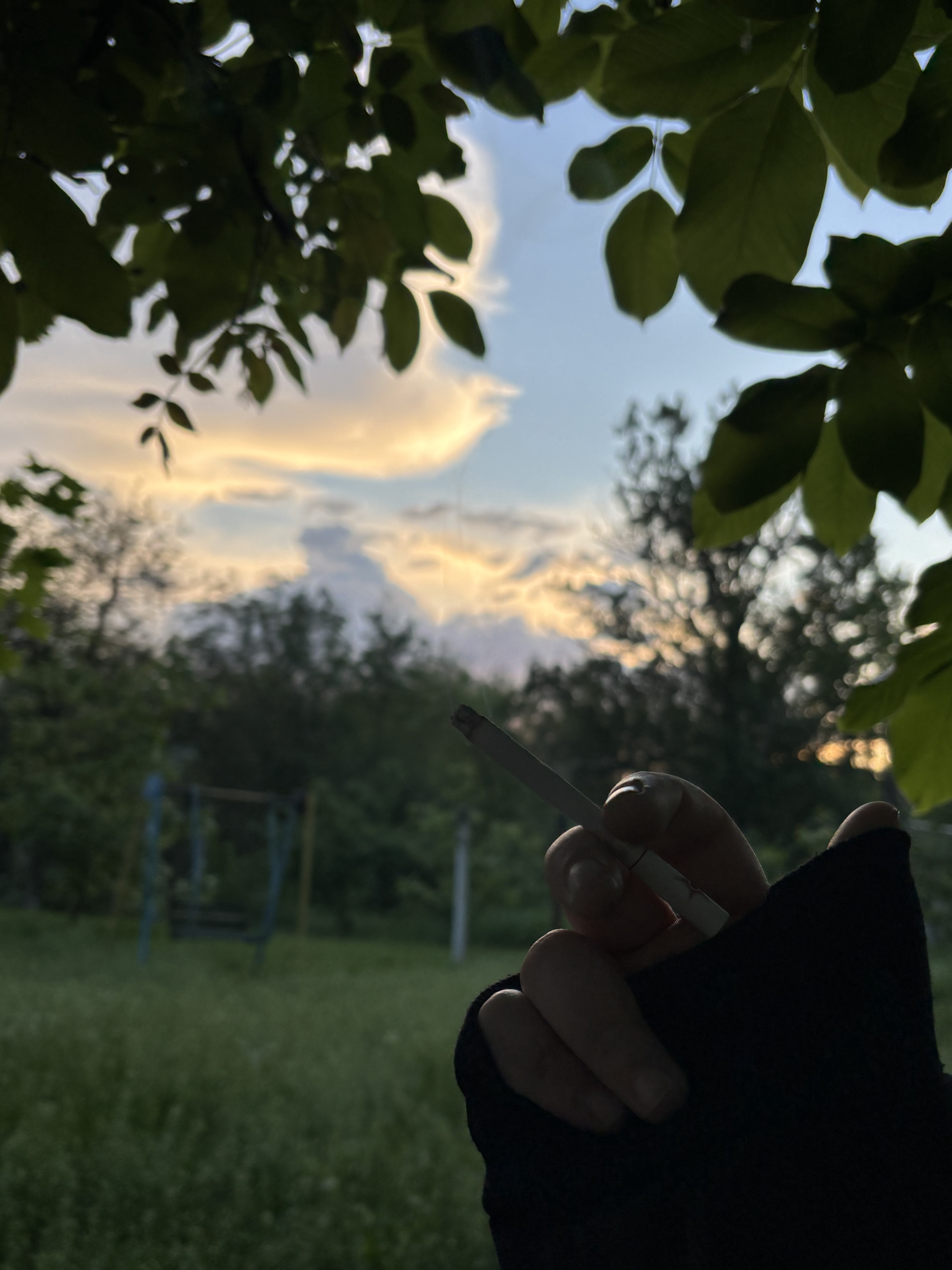 Аватар пользователя