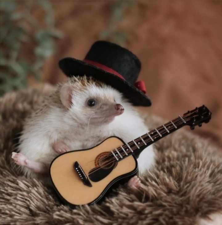 Аватар пользователя