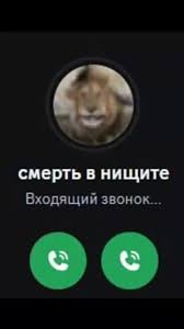 Аватар пользователя