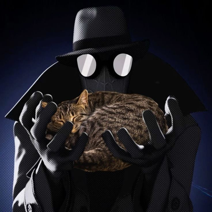 Аватар пользователя