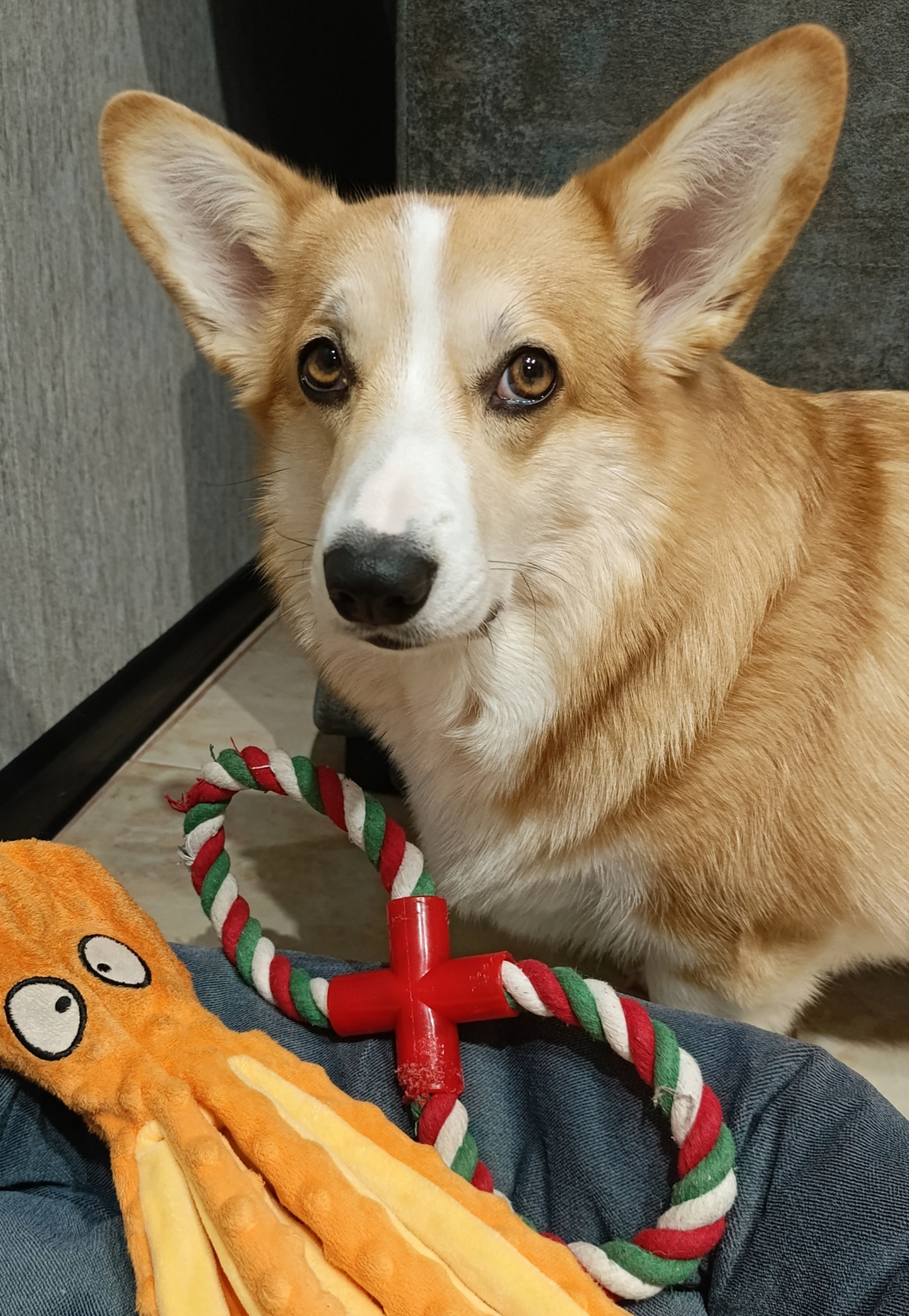 Аватар пользователя