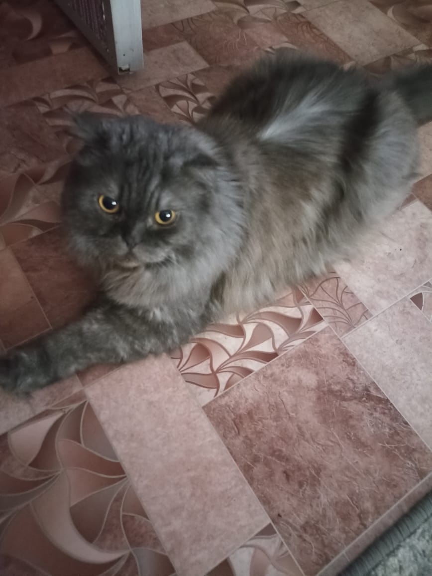 Аватар пользователя