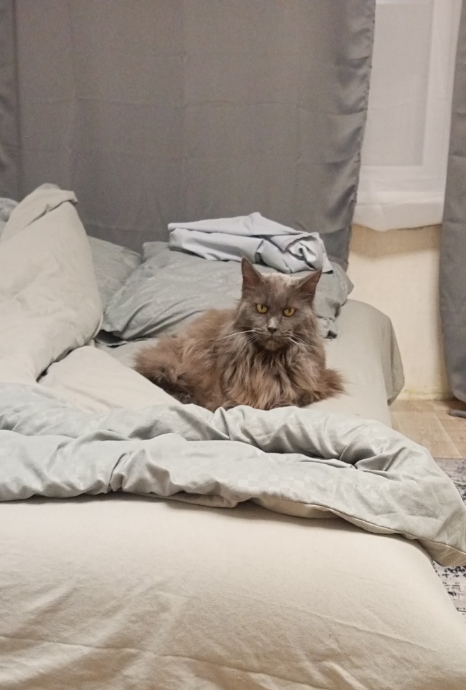 Аватар пользователя