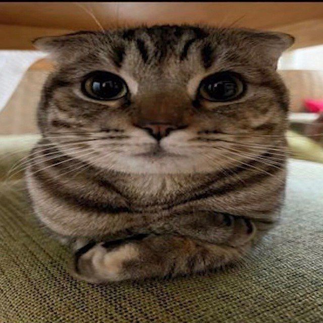 Аватар пользователя