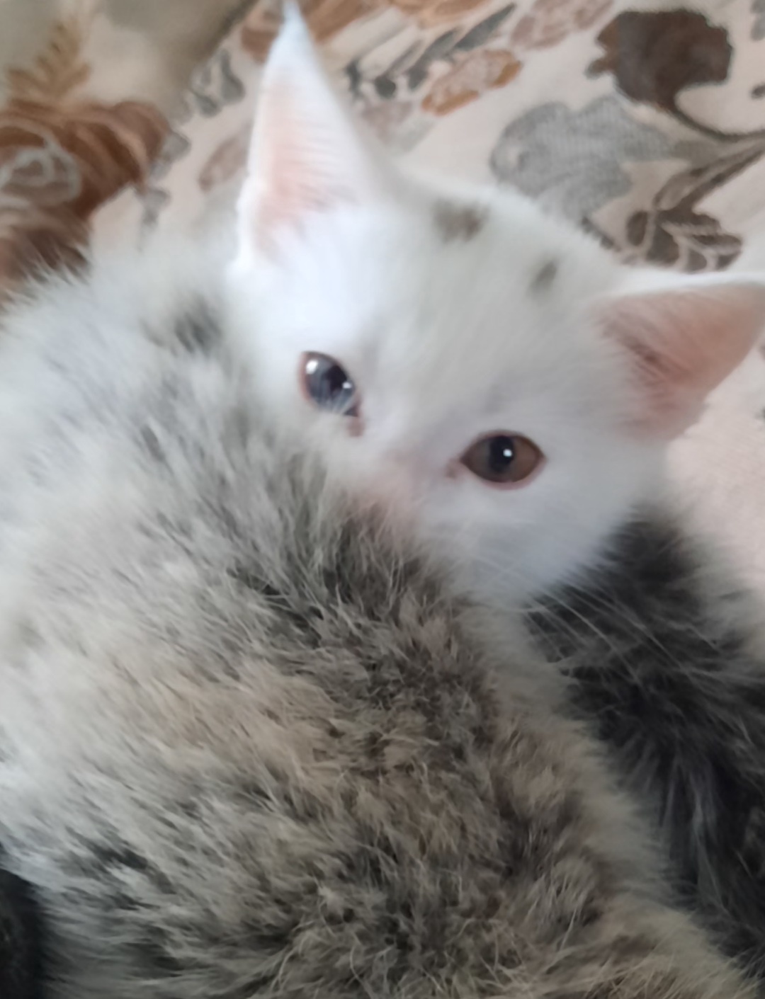 Аватар пользователя